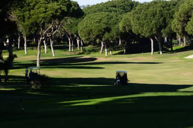 Golf sahasında yeşil çimenli ve ağaçlı bir golf arabası. Yüksek kalite fotoğraf