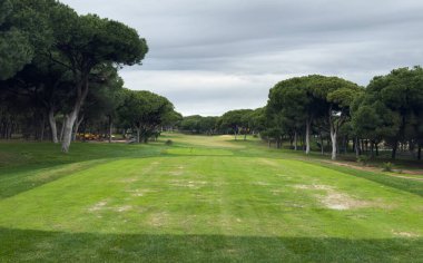 Mavi Gök 'le Yeşil Golf Sahasının Güzel Manzarası. Yüksek kalite fotoğraf