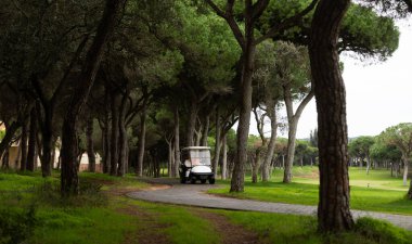 Mavi Gök 'le Yeşil Golf Sahasının Güzel Manzarası. Yüksek kalite fotoğraf
