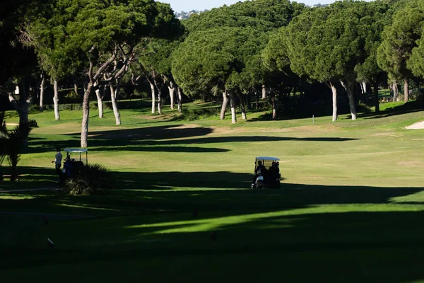 Golf sahasında yeşil çimenli ve ağaçlı bir golf arabası. Yüksek kalite fotoğraf