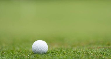 Golf sahası ve golf sopaları. Yüksek kalite fotoğraf