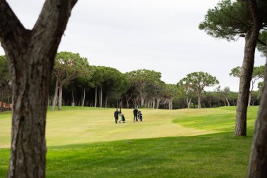 Bir grup yaşlı adam, iş adamı ve son sınıf öğrencisi birlikte golf oynamayı seviyorlar. Golf sopasıyla golf oynayan sağlıklı adamlar yaz günbatımında birlikte konuşuyorlar. Yüksek kalite fotoğraf