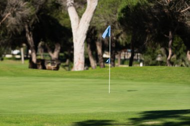 Batan güneşin altın parıltısı altında yeşil golf sahası. Su fıskiyeleri aktif olarak iyi korunan çimenleri suluyor ve rahatlama ve açık hava sporları için cennet gibi bir ortam yaratıyor. Yüksek kalite fotoğraf