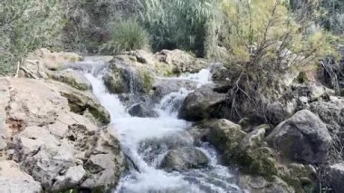 Doğanın kalbinde bir şelale, güzel bir nehir ve şelale. Alte, Algarve, Portekiz yakınlarındaki Queda do Vigario şelalesi. Yüksek kalite fotoğraf