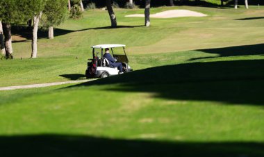 Golf sahasında yeşil çimenli ve ağaçlı bir golf arabası. Yüksek kalite fotoğraf