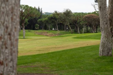 Mavi Gök 'le Yeşil Golf Sahasının Güzel Manzarası. Yüksek kalite fotoğraf