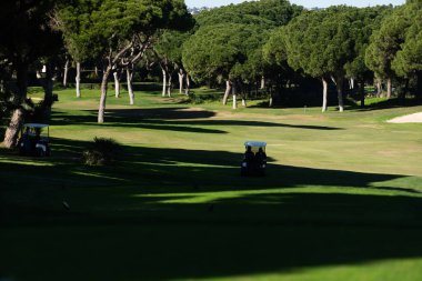 Golf sahasındaki hareket eden arabanın görüntüsü. Yüksek kalite fotoğraf