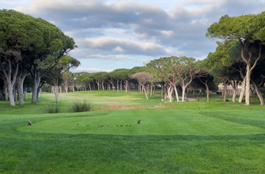 Dolambaçlı yolu olan güzel yeşil golf sahası. Yüksek kalite fotoğraf