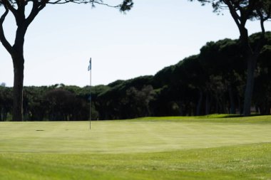 Mavi Gök 'le Yeşil Golf Sahasının Güzel Manzarası. Yüksek kalite fotoğraf