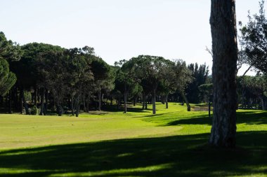 Batan güneşin altın parıltısı altında yeşil golf sahası. Su fıskiyeleri aktif olarak iyi korunan çimenleri suluyor ve rahatlama ve açık hava sporları için cennet gibi bir ortam yaratıyor. Yüksek kalite fotoğraf