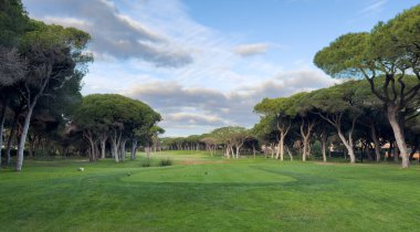 Dolambaçlı yolu olan güzel yeşil golf sahası. Yüksek kalite fotoğraf