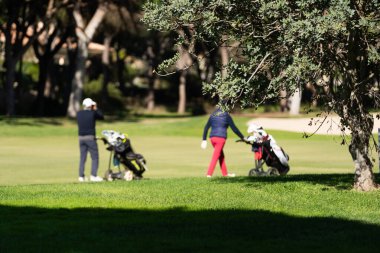 Golfçüler, yemyeşil sahada Lush Trees ile oynuyorlar. Yüksek kalite fotoğraf
