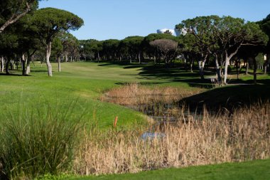 Mavi Gök 'le Yeşil Golf Sahasının Güzel Manzarası. Yüksek kalite fotoğraf