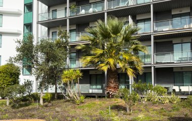 Çevresel ve sürdürülebilir yeşil konut binaları, daireleri ve yeşil avlusu olan düşük enerjili evler. Yüksek kalite fotoğraf