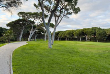 Dolambaçlı yolu olan güzel yeşil golf sahası. Yüksek kalite fotoğraf