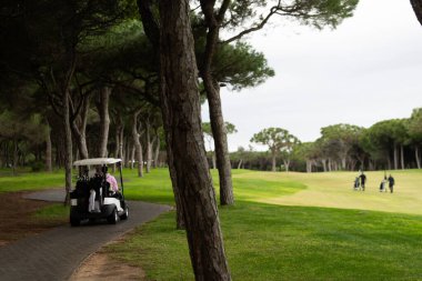 Golfçüler Ağaçlarla Yeşil Saha 'da oynuyor. Yüksek kalite fotoğraf
