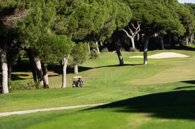 Batan güneşin altın parıltısı altında yeşil golf sahası. Su fıskiyeleri aktif olarak iyi korunan çimenleri suluyor ve rahatlama ve açık hava sporları için cennet gibi bir ortam yaratıyor. Yüksek kalite fotoğraf