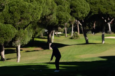 Golf sahasında güneşli bir günde golf antrenmanı yapan olgun bir golfçü. Yüksek kalite fotoğraf