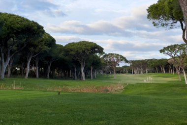 Dolambaçlı yolu olan güzel yeşil golf sahası. Yüksek kalite fotoğraf