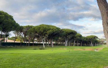 Dolambaçlı yolu olan güzel yeşil golf sahası. Yüksek kalite fotoğraf