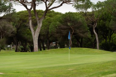 Mavi Gök 'le Yeşil Golf Sahasının Güzel Manzarası. Yüksek kalite fotoğraf