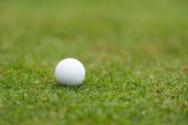 Golf sahası ve golf sopaları. Yüksek kalite fotoğraf