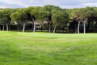Arka planda ağaçlar ve gökte bulutlar olan otlak bir alan. Yüksek kalite fotoğraf