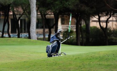 Golf çantalı golf arabaları ve golf sahasının ortasında golf sopaları. Yüksek kalite fotoğraf