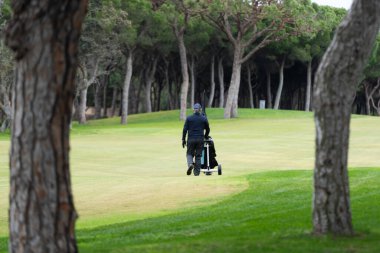 Golfçüler Ağaçlarla Yeşil Saha 'da oynuyor. Yüksek kalite fotoğraf