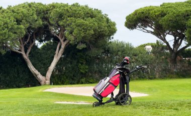 Güneşli bir havada yeşil bitkiler ve ağaçlarla dolu bir patikaya park edilmiş golf arabası. Yüksek kalite fotoğraf