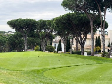 Bereketli yeşil çimenler, kum tuzakları, palmiye ağaçları ve berrak mavi gökyüzünün altında bir dağ zemininin yer aldığı sakin bir golf sahası. Yüksek kalite fotoğraf