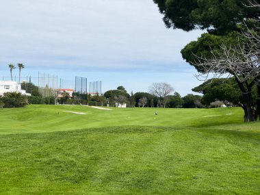 Golf sahası, araba ve golf sahasında spor müsabakaları için spor kulübü spor, turnuva ya da eğitim için. Çimenler, ağaçlar ve doğa ya da dışarıda çalışma, dinlenme ya da hobi için egzersiz ulaşımı. Yüksek kalite fotoğraf