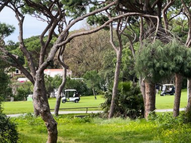 Golf sahası, araba ve golf sahasında spor müsabakaları için spor kulübü spor, turnuva ya da eğitim için. Çimenler, ağaçlar ve doğa ya da dışarıda çalışma, dinlenme ya da hobi için egzersiz ulaşımı. Yüksek kalite fotoğraf