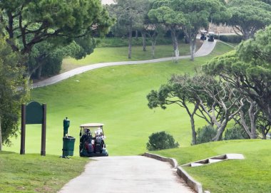 Golf sahası, araba ve golf sahasında spor müsabakaları için spor kulübü spor, turnuva ya da eğitim için. Çimenler, ağaçlar ve doğa ya da dışarıda çalışma, dinlenme ya da hobi için egzersiz ulaşımı. Yüksek kalite fotoğraf