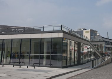 İzolasyon çatı olarak düşük büyüyen bitki.