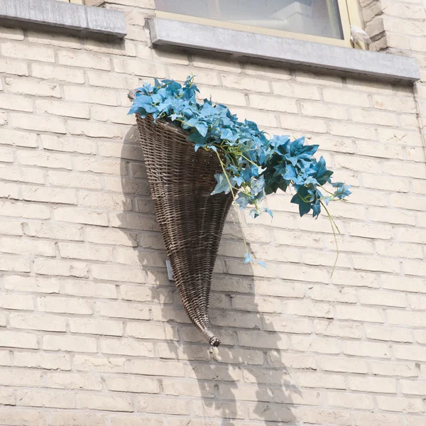 Decoraciones en el frente de los edificios — Foto de Stock