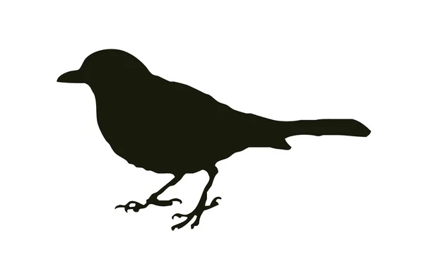 Silhouette Bird Blackbird the favorite home and garden bird. — Stock Vector