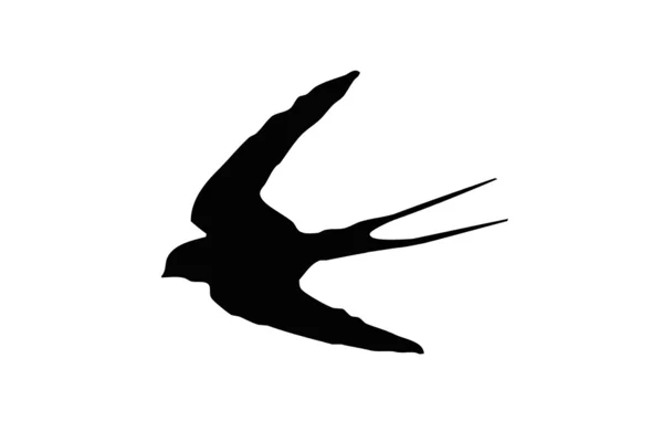 Silhouet  Birds Swallows are family from the order of songbirds. — Stock Vector