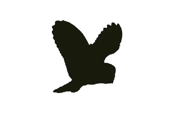 Silhouet Bird Barn Owl รังของมันอยู่ในหลุมในผนัง . — ภาพเวกเตอร์สต็อก