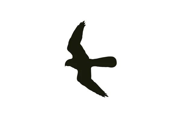 Silhouet ptak pustułki można powiesić jeszcze w powietrzu szybko poruszających skrzydłami ("Modlitwa") — Wektor stockowy