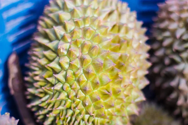 Durian fruit come from Thailand