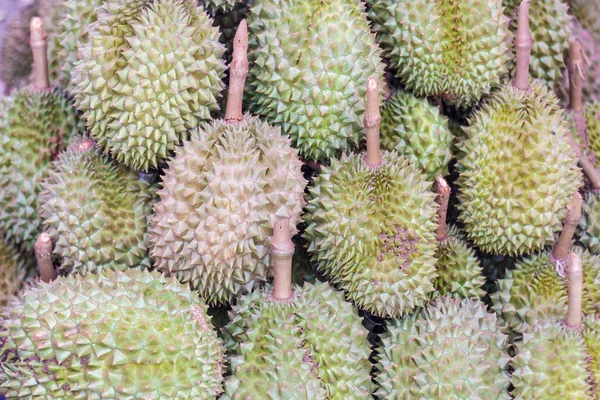 Durian fruit come from Thailand