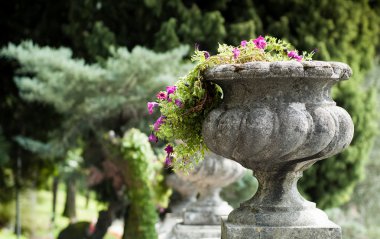 Stone Flower Vase clipart