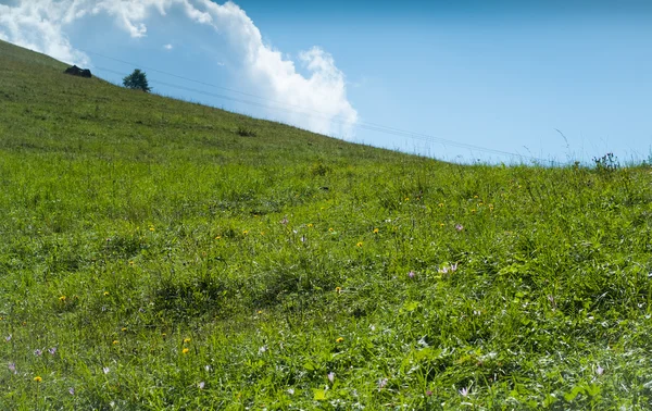 Vue Piani d'Erna — Photo