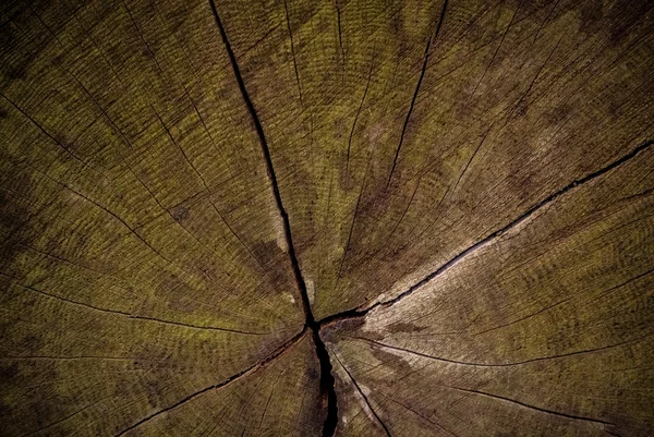木質のクローズ アップ — ストック写真