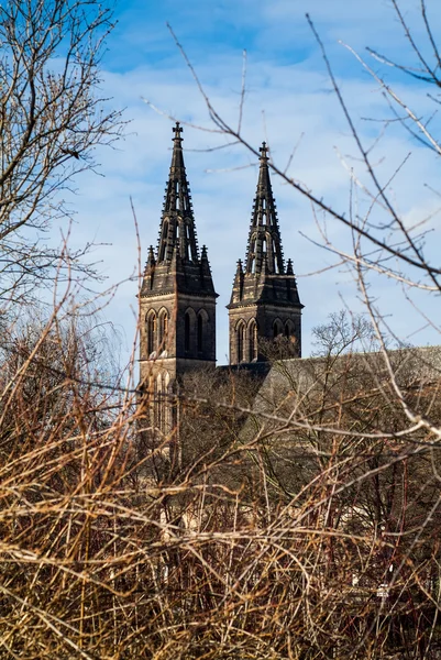 Basilica of St Peter and St Paul — Stock Photo, Image