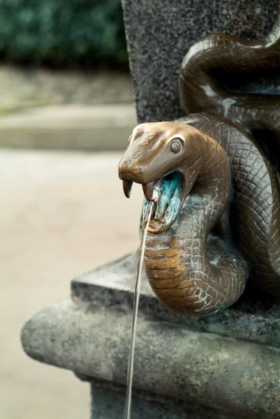 Węża wiosna — Zdjęcie stockowe