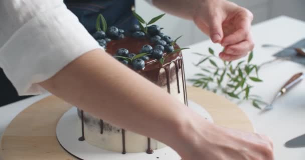 女性のペストリーシェフは、ベリー、クローズアップでチョコレートケーキを飾ります。ケーキ作りのプロセス、選択的フォーカス — ストック動画