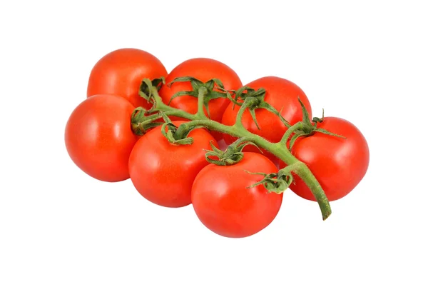 Tomate auf Weiß — Stockfoto