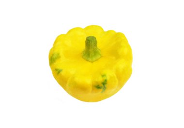 Taraklı muhallebi squash (Cucurbita pepo var. patisson)